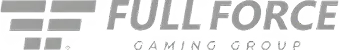Full Force Gaming Group